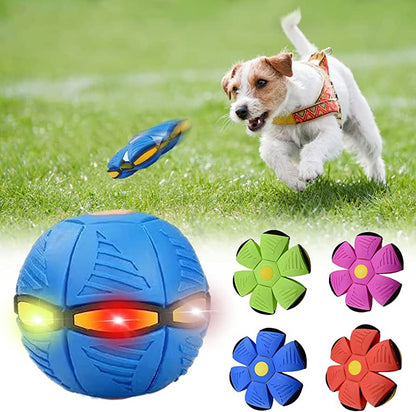 The Wagging Tail™ Dog Frisbee